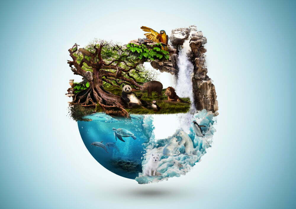 絶滅危惧種の保全とSDGs